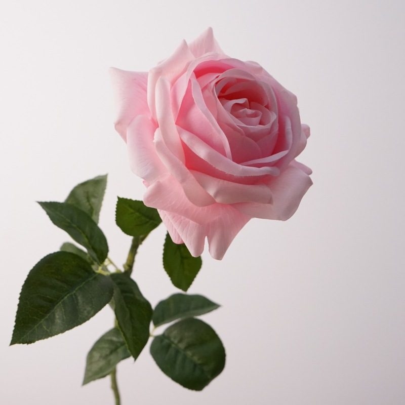 Realistic-feeling moisturizing rose