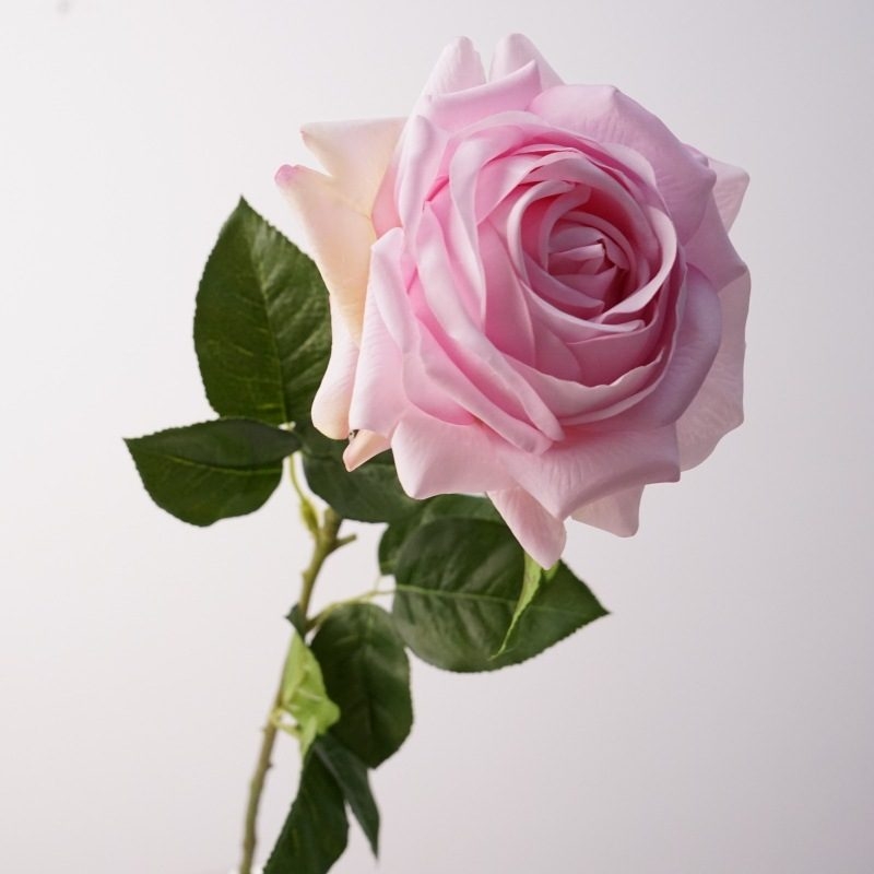 Realistic-feeling moisturizing rose