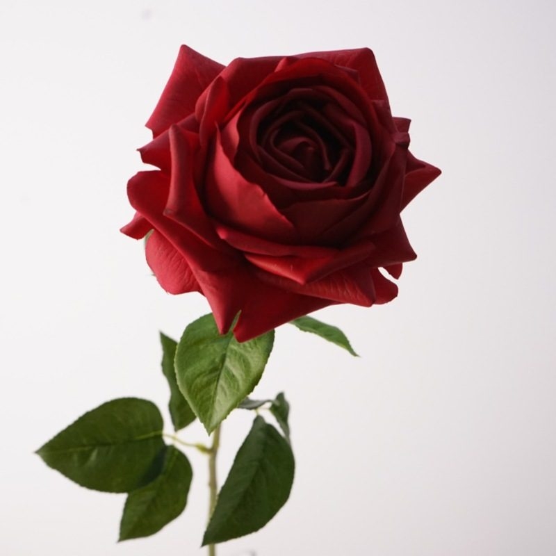 Realistic-feeling moisturizing rose