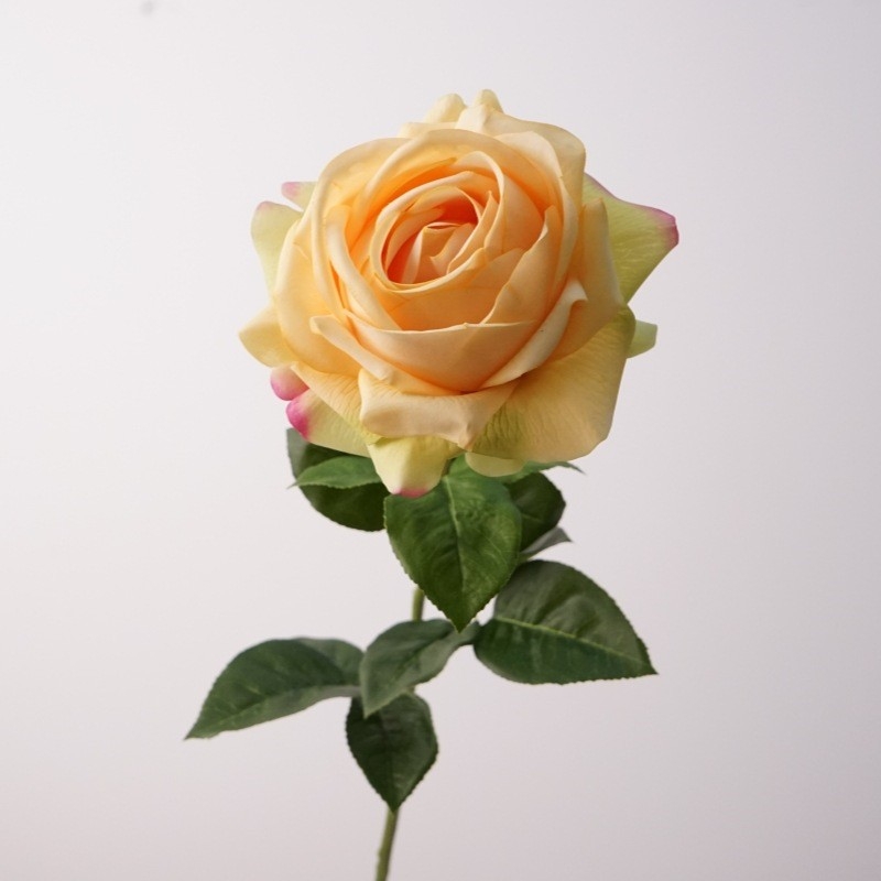 Realistic-feeling moisturizing rose