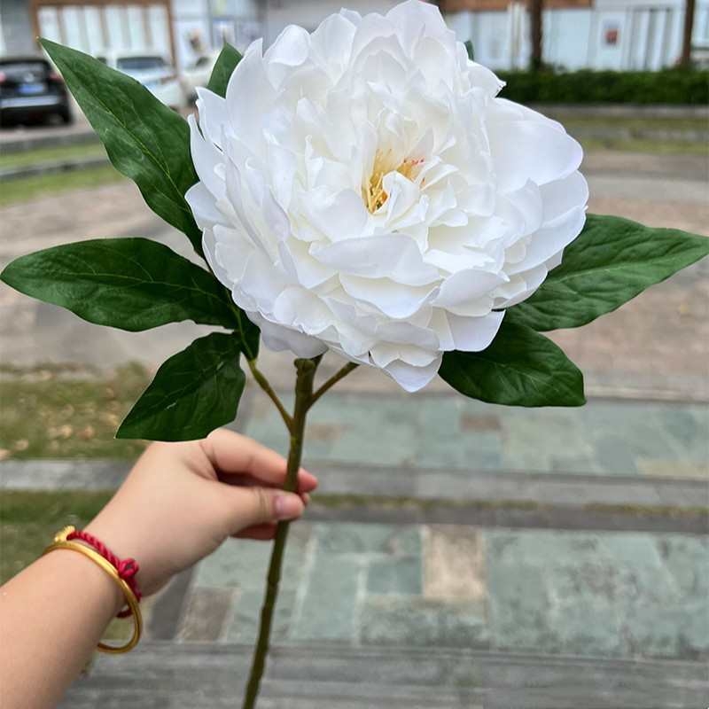 Moisturizing Peony Flower