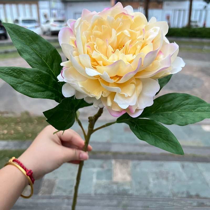 Moisturizing Peony Flower