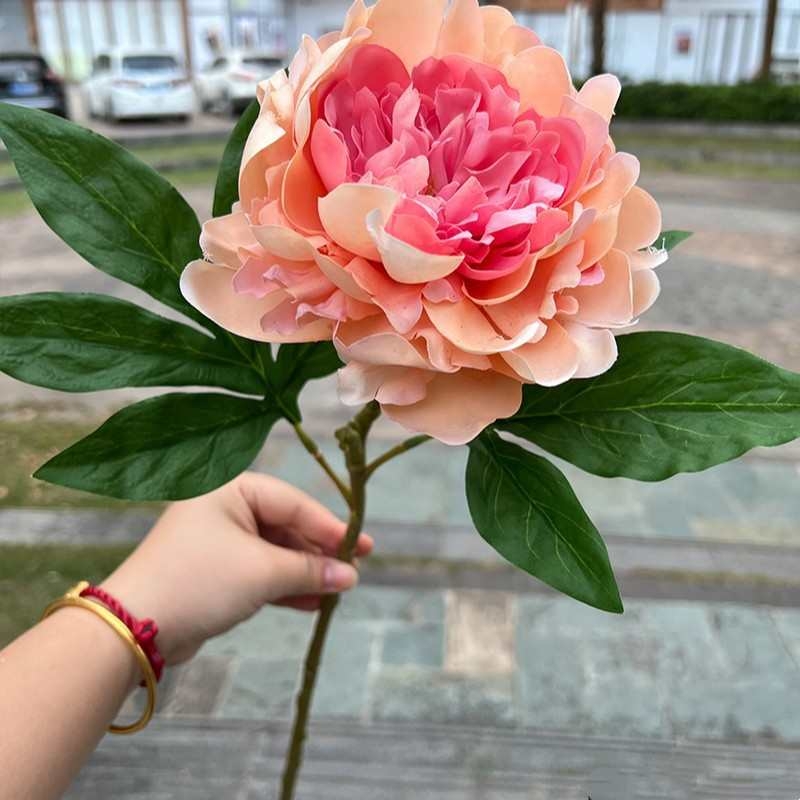 Moisturizing Peony Flower