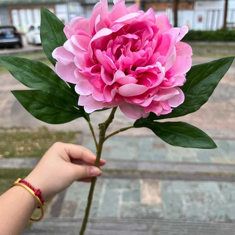 Moisturizing Peony Flower