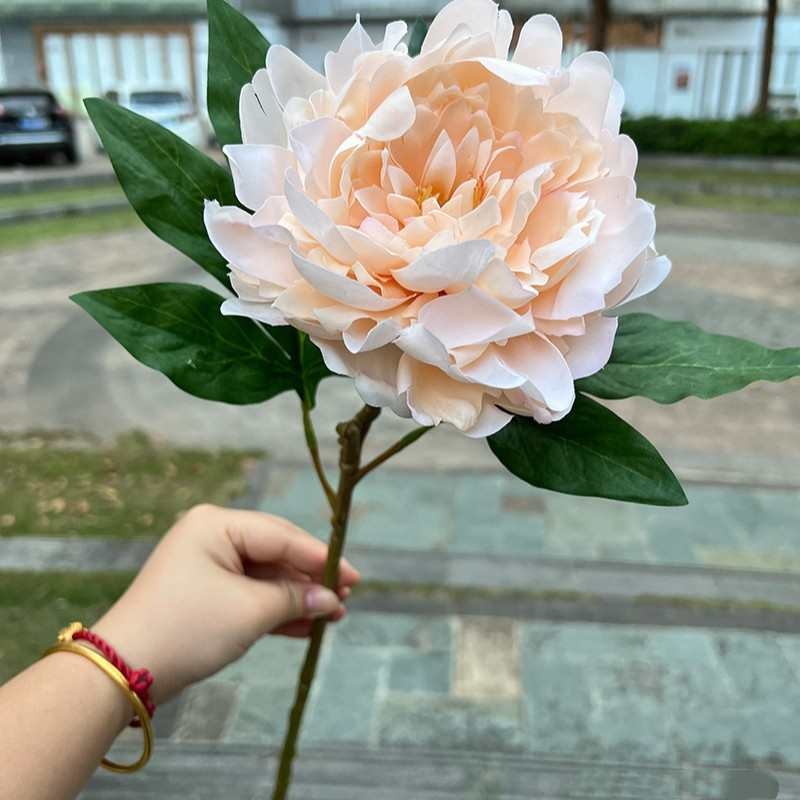 Moisturizing Peony Flower