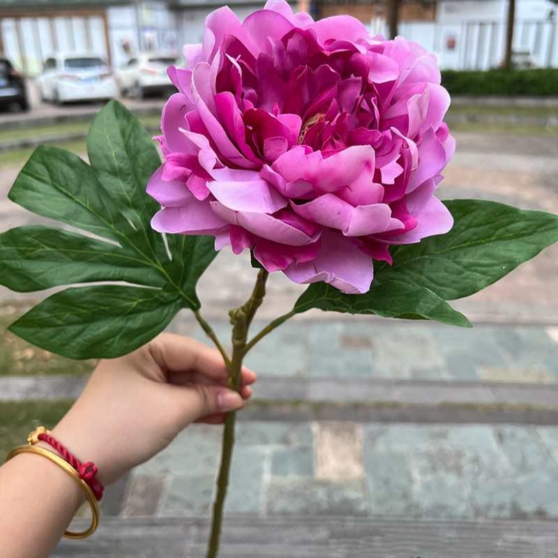 Moisturizing Peony Flower
