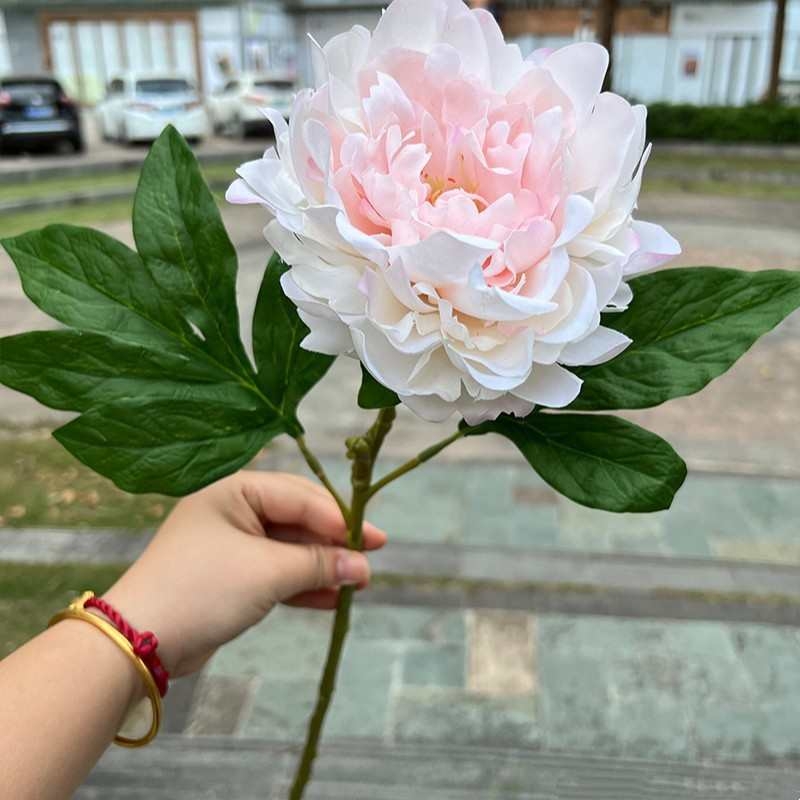 Moisturizing Peony Flower
