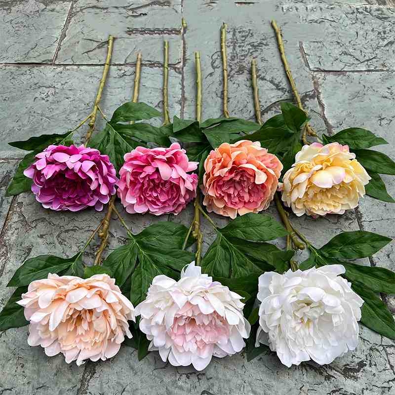 Moisturizing Peony Flower