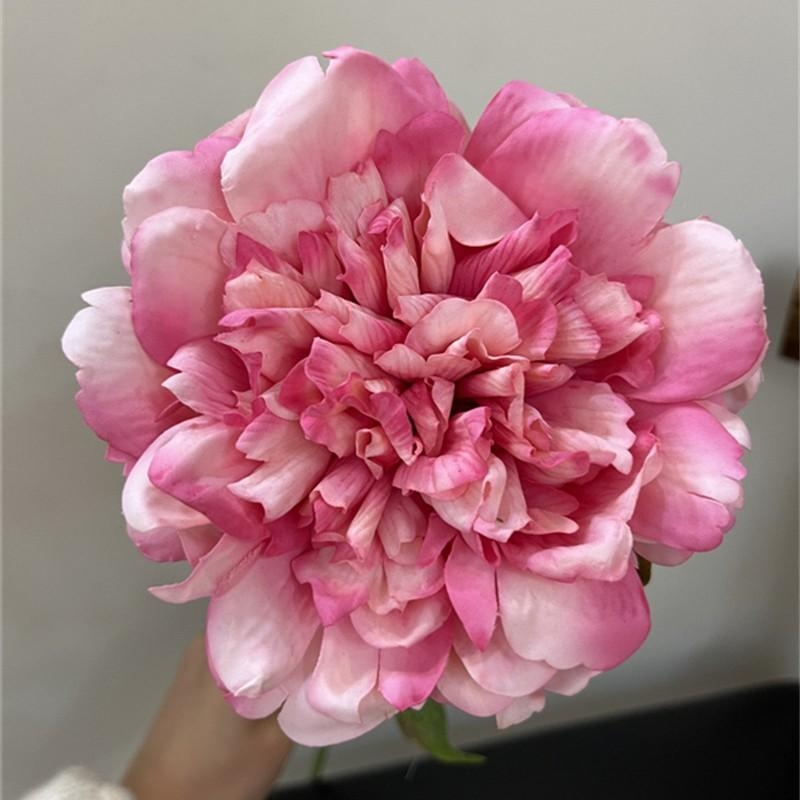 High-end moisturizing peony flower