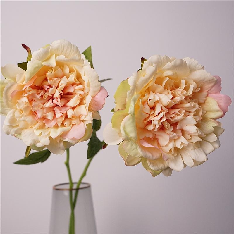 High-end moisturizing peony flower