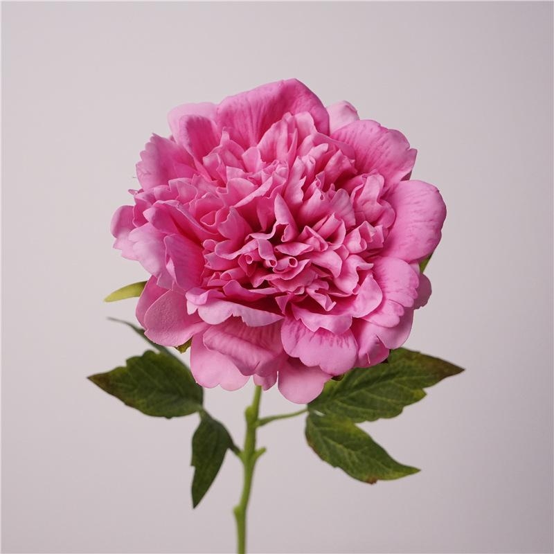 High-end moisturizing peony flower