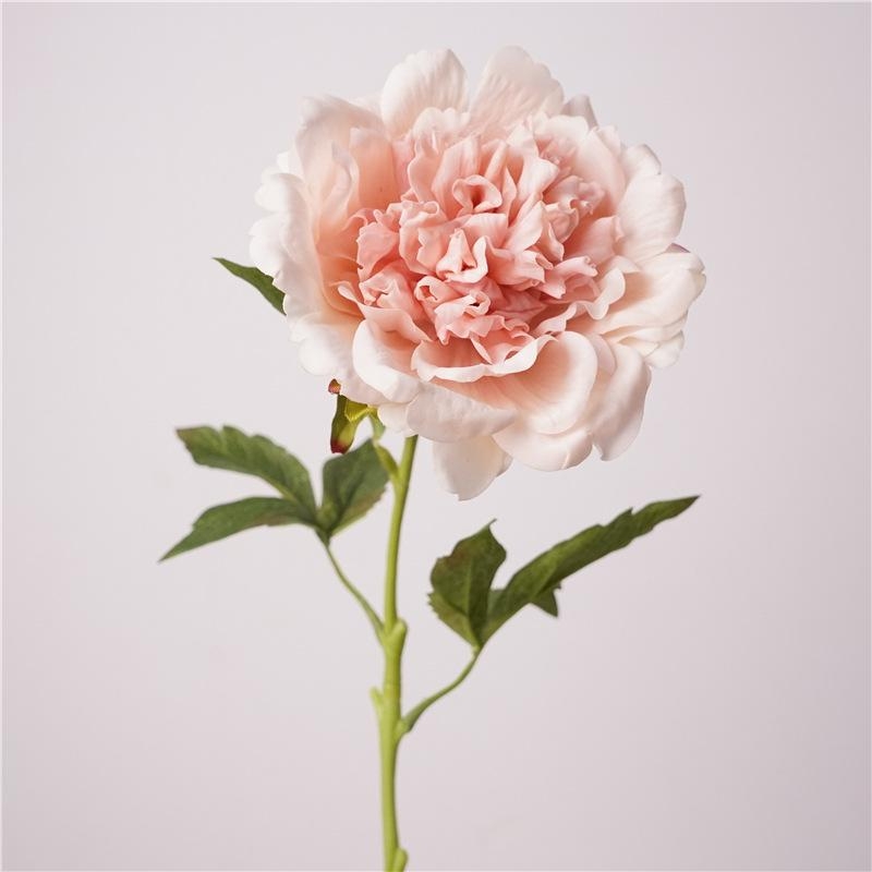 High-end moisturizing peony flower