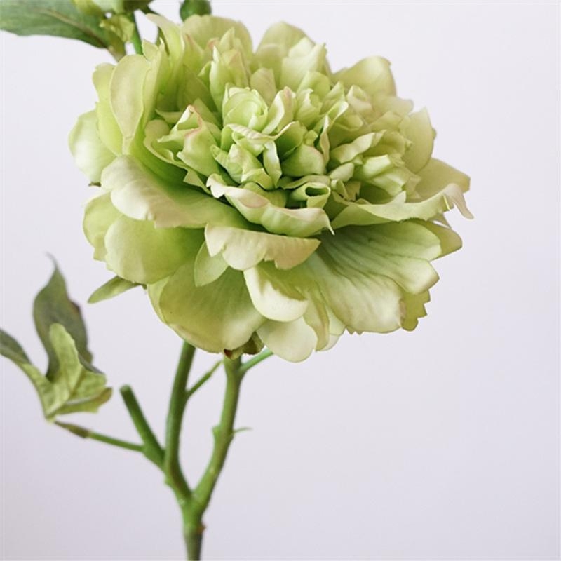 High-end moisturizing peony flower