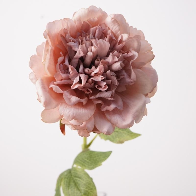 High-end moisturizing peony flower