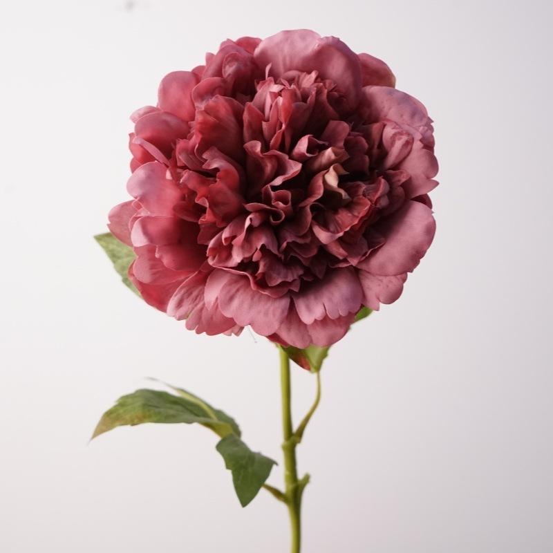 High-end moisturizing peony flower