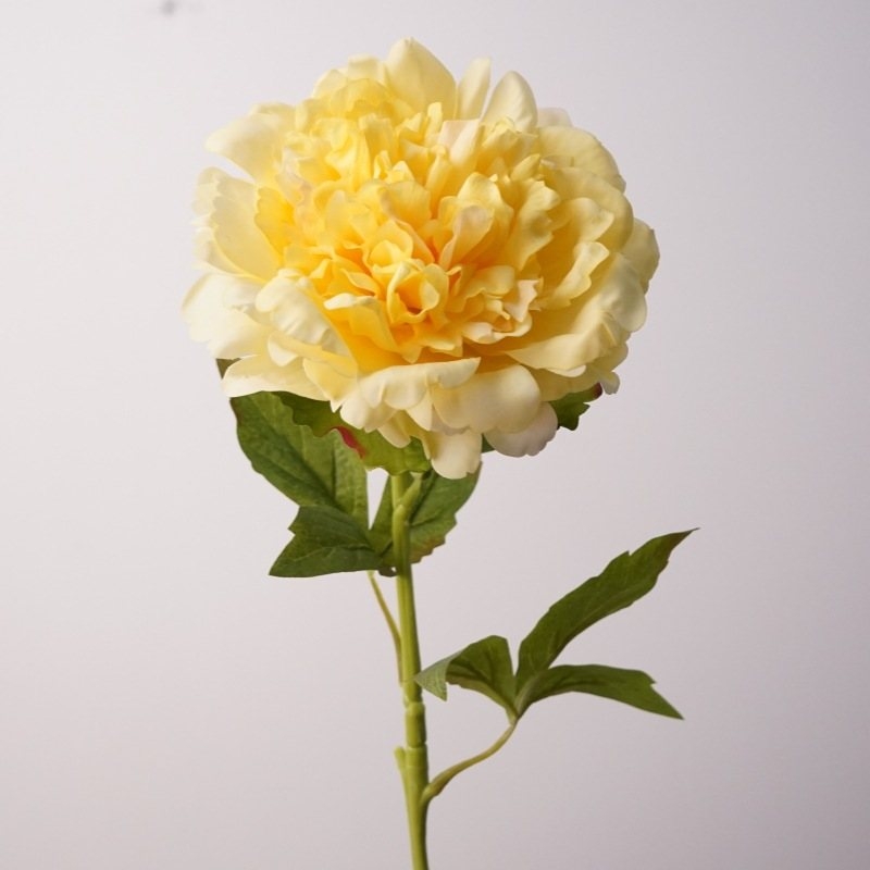 High-end moisturizing peony flower