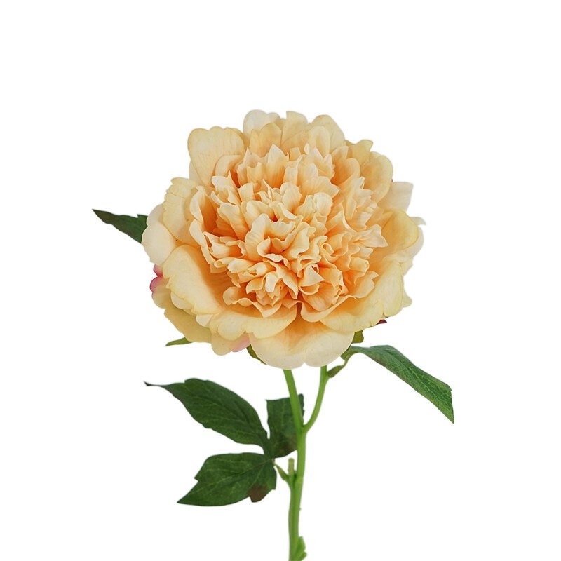High-end moisturizing peony flower