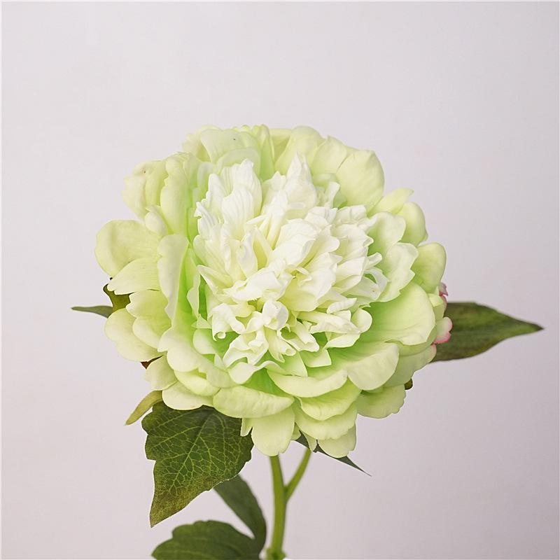 High-end moisturizing peony flower