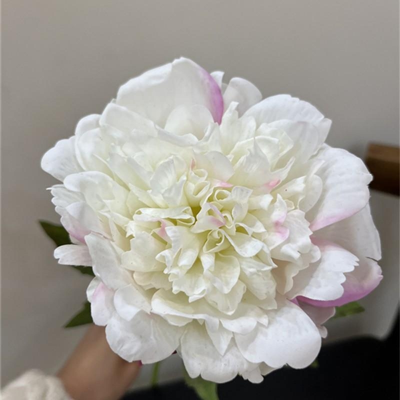 High-end moisturizing peony flower