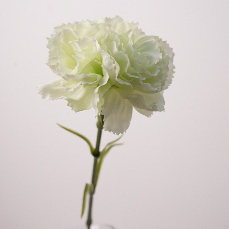 Moisturizing Carnation Wholesale