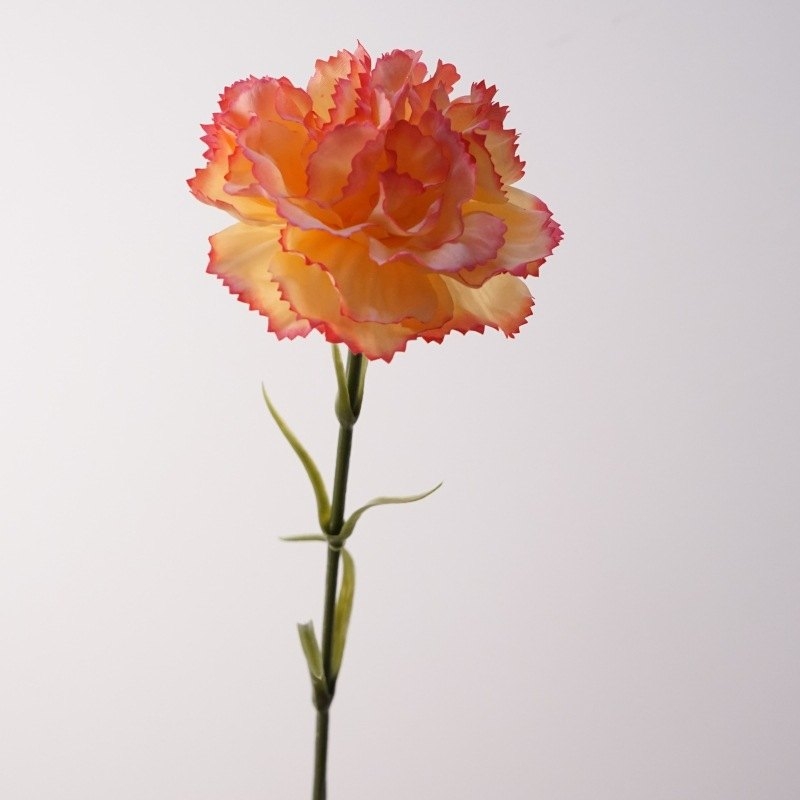 Moisturizing Carnation Wholesale