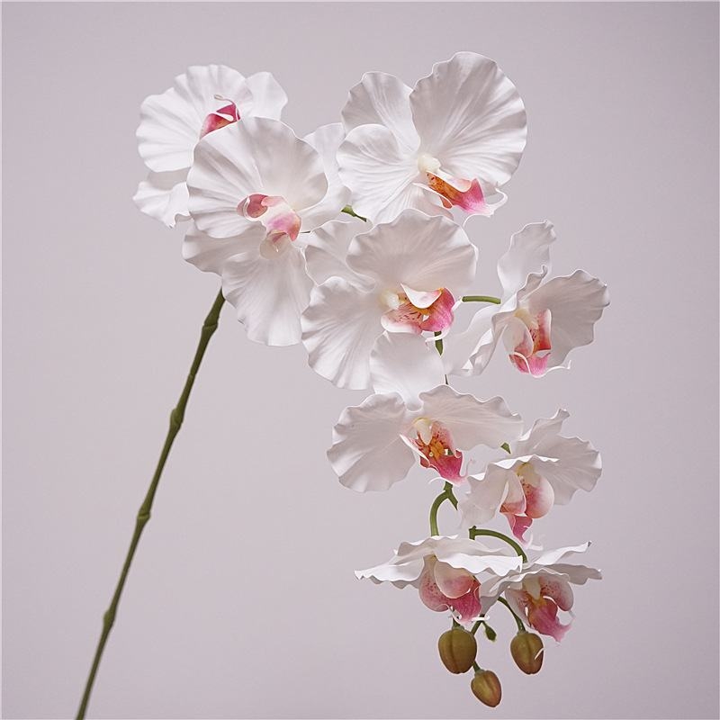 Simulated feel moisturizing Phalaenopsis orchid
