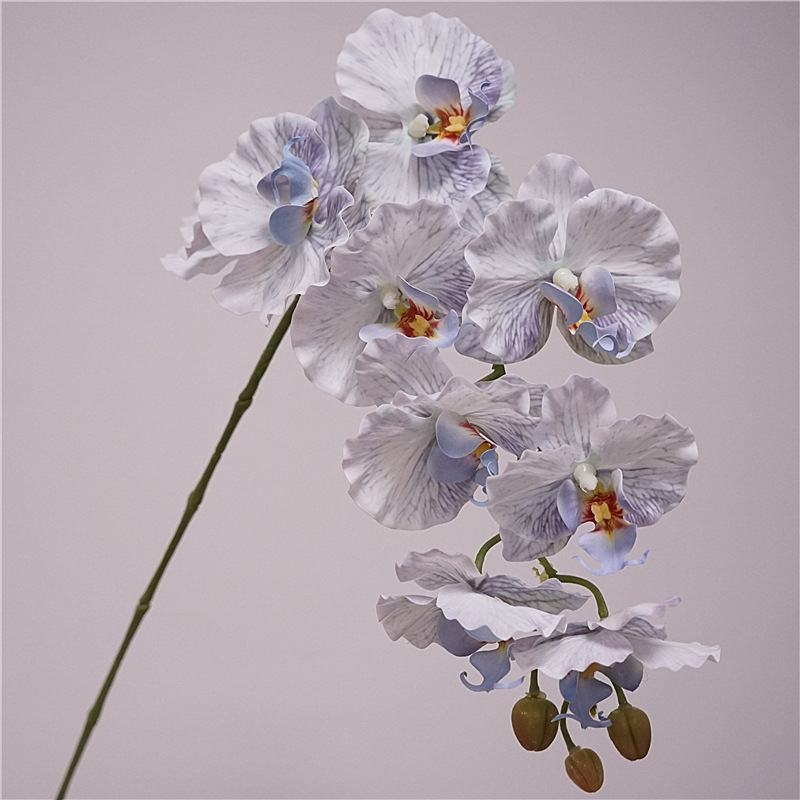Simulated feel moisturizing Phalaenopsis orchid