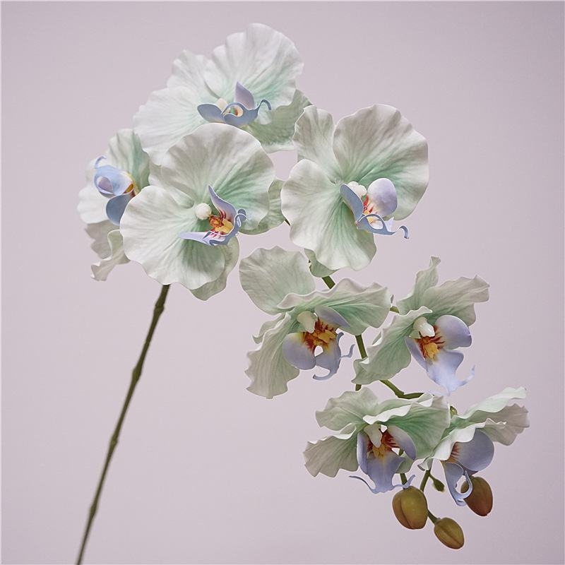 Simulated feel moisturizing Phalaenopsis orchid