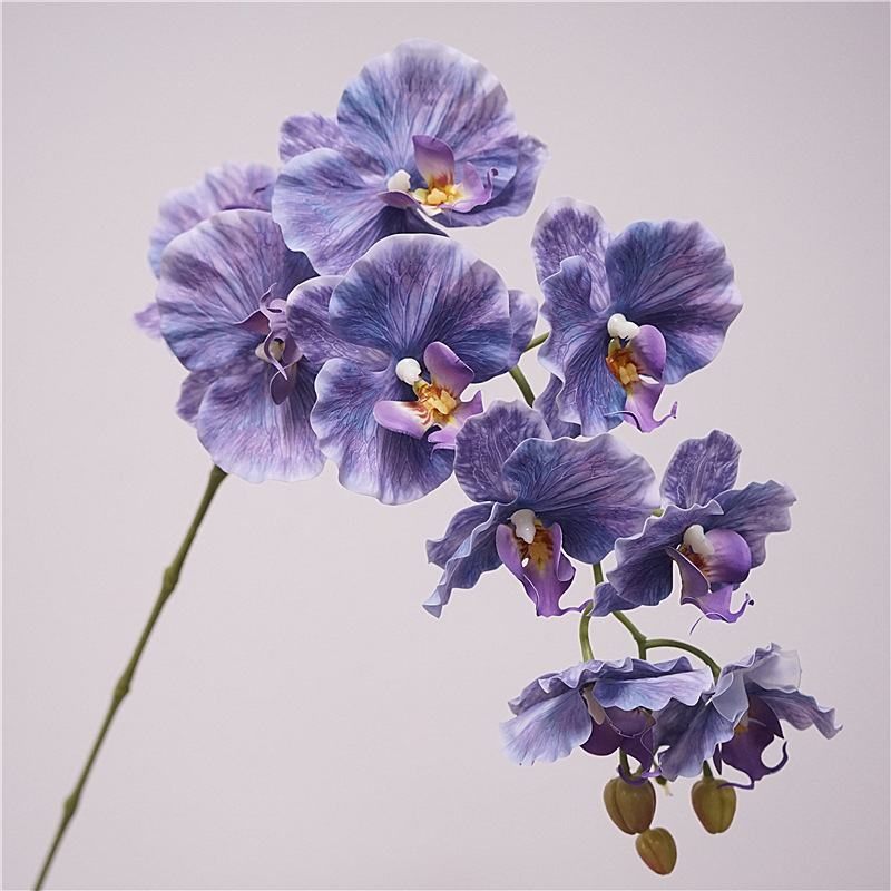 Simulated feel moisturizing Phalaenopsis orchid