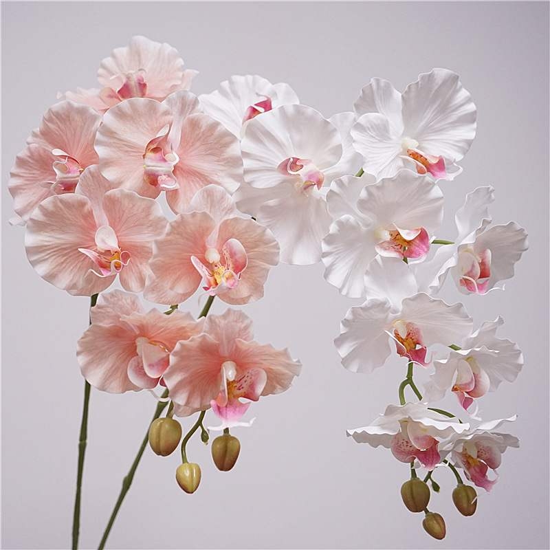 Simulated feel moisturizing Phalaenopsis orchid