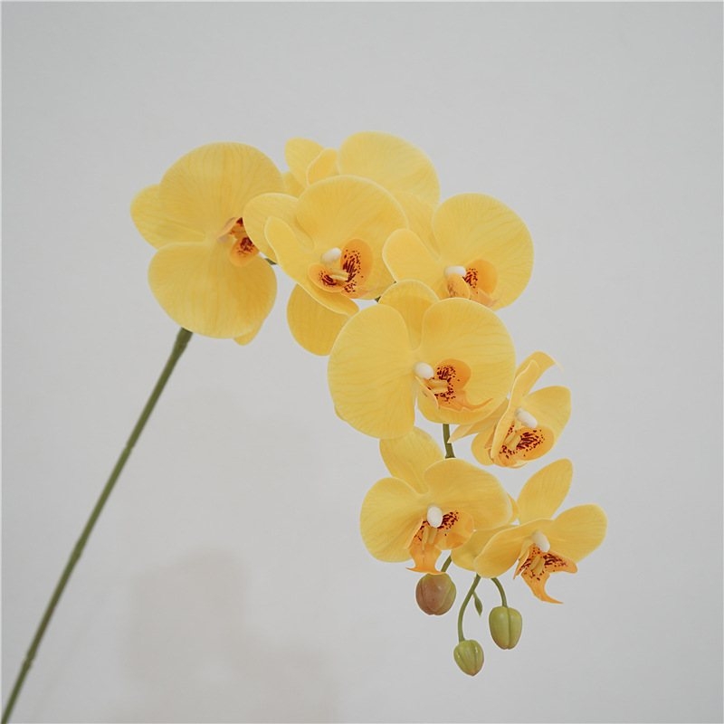 Artificial Phalaenopsis orchid with nine flowers
