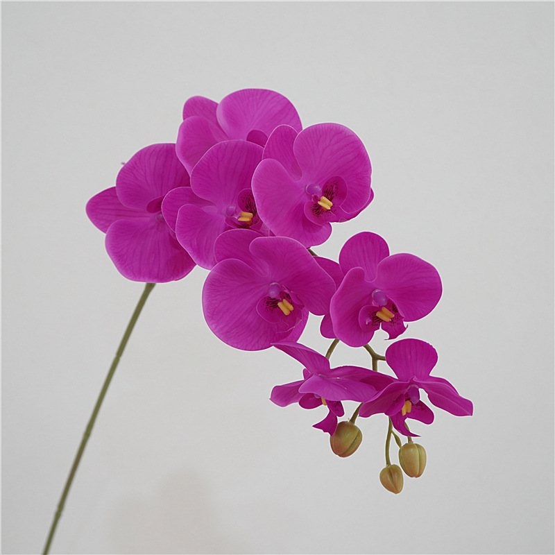 Artificial Phalaenopsis orchid with nine flowers