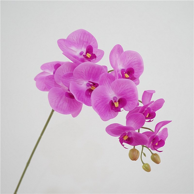 Artificial Phalaenopsis orchid with nine flowers