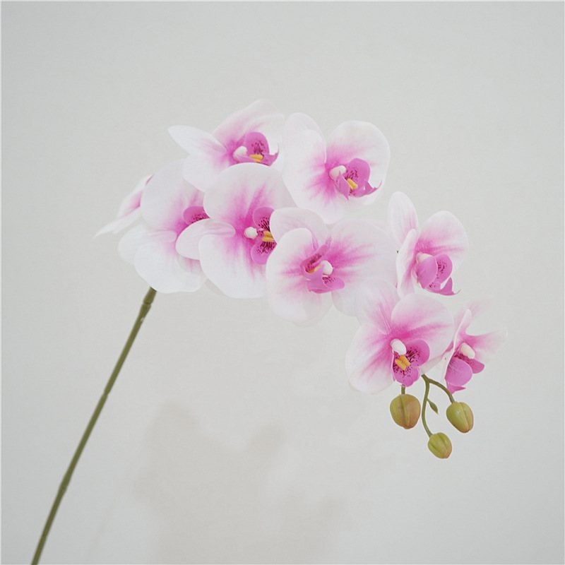 Artificial Phalaenopsis orchid with nine flowers