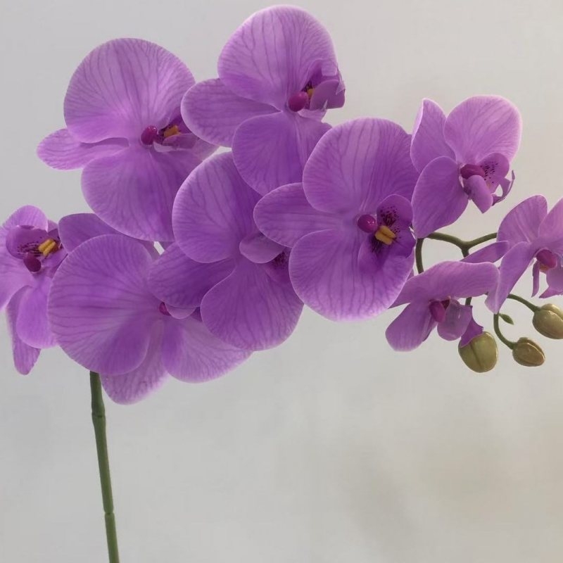 Artificial Phalaenopsis orchid with nine flowers