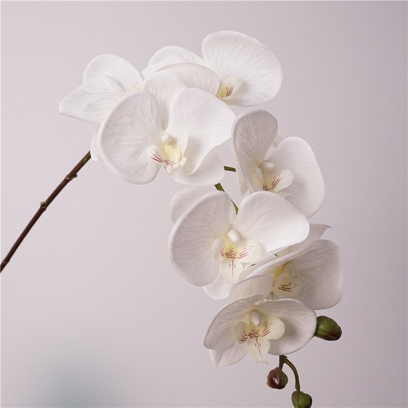 Realistic-feeling artificial Phalaenopsis orchid