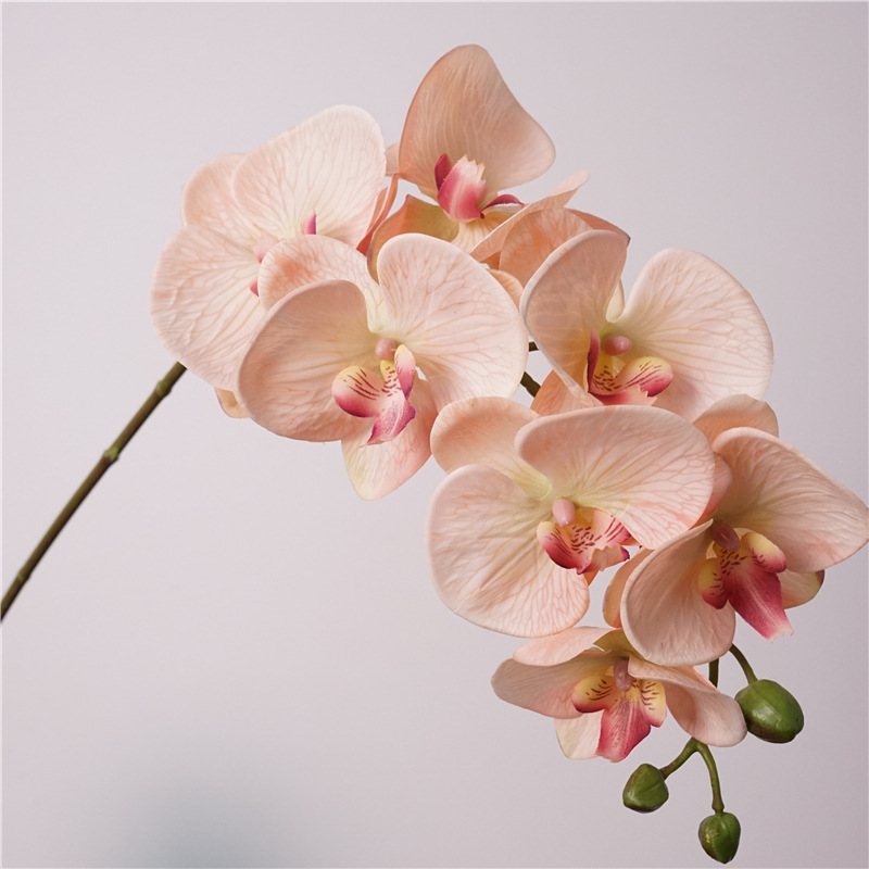 Realistic-feeling artificial Phalaenopsis orchid