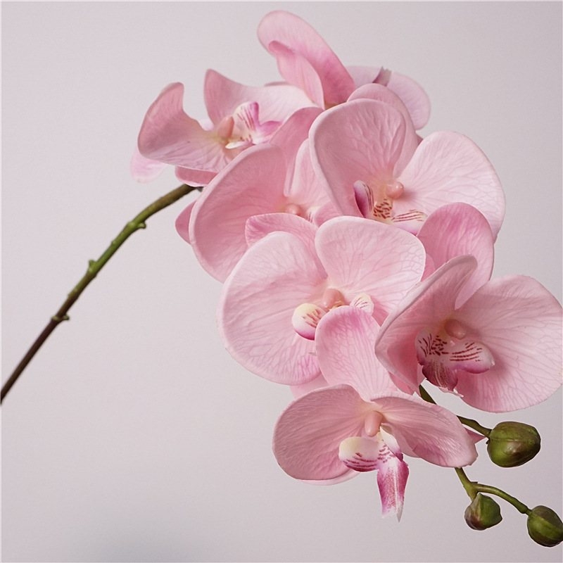 Realistic-feeling artificial Phalaenopsis orchid