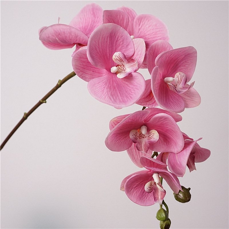 Realistic-feeling artificial Phalaenopsis orchid