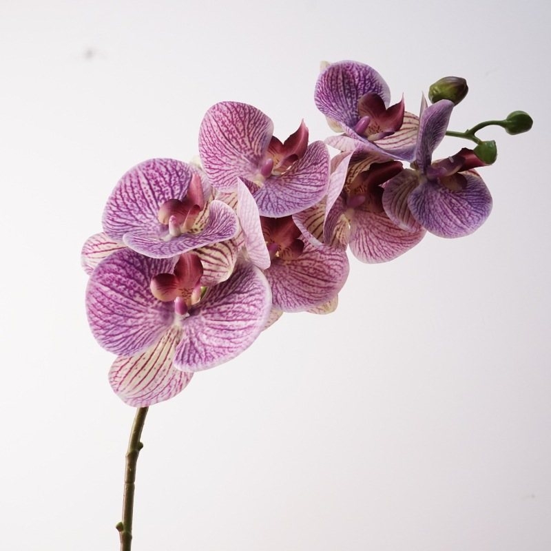 Realistic-feeling artificial Phalaenopsis orchid