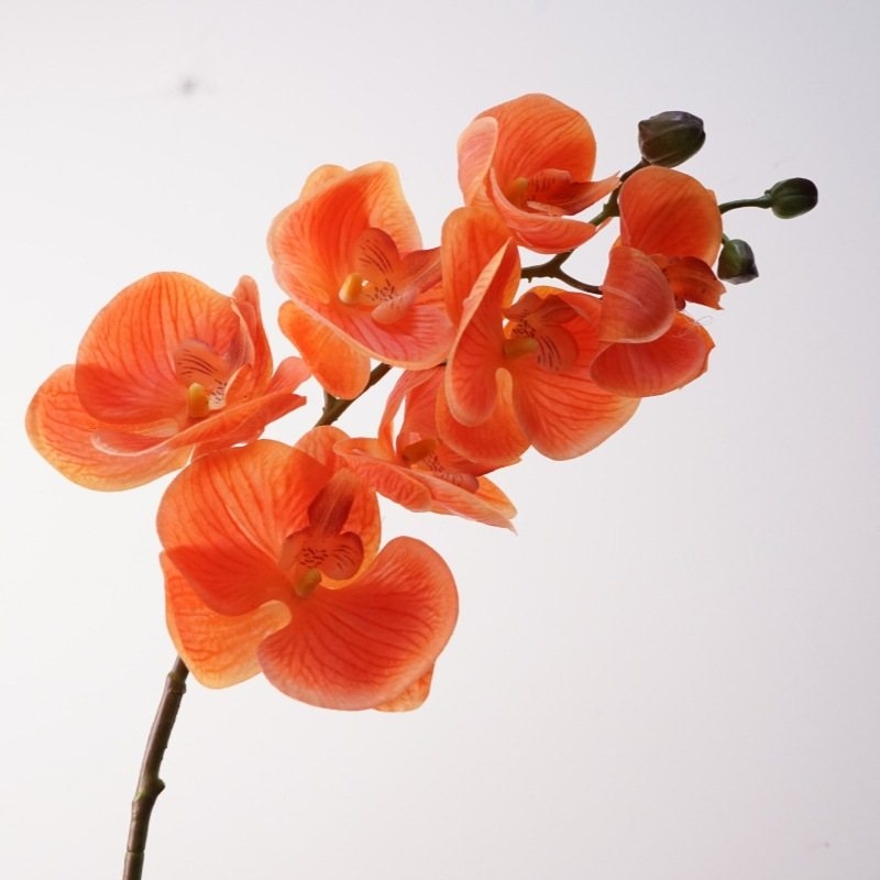 Realistic-feeling artificial Phalaenopsis orchid