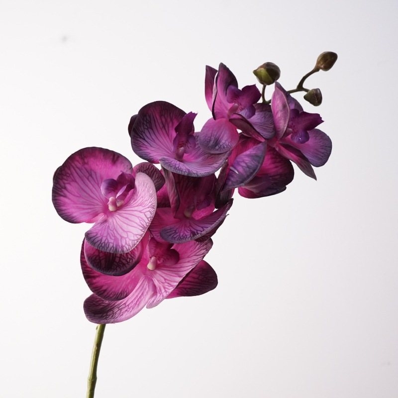 Realistic-feeling artificial Phalaenopsis orchid