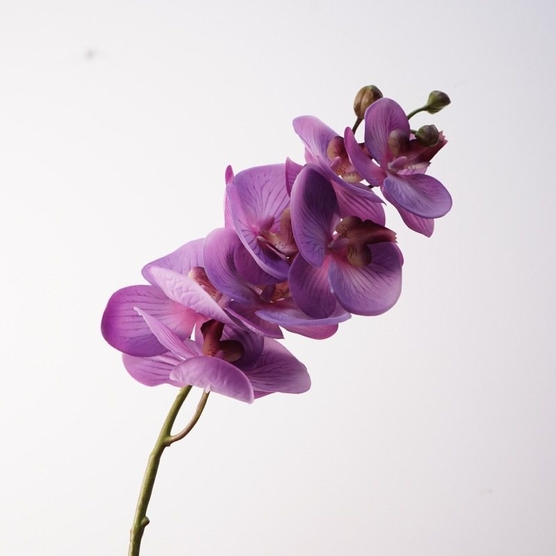 Realistic-feeling artificial Phalaenopsis orchid