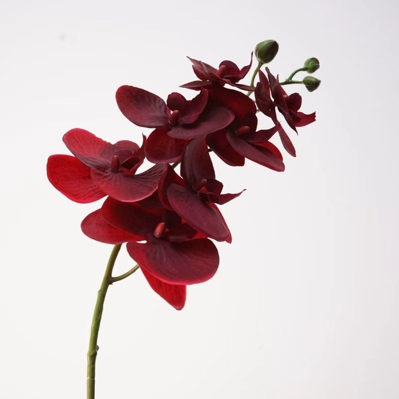 Realistic-feeling artificial Phalaenopsis orchid