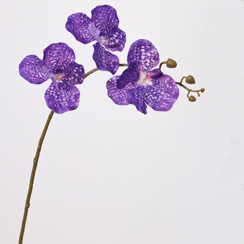 Touch-sensitive moisturizing simulated Vanda orchid
