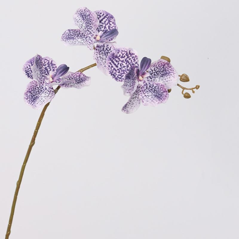 Touch-sensitive moisturizing simulated Vanda orchid