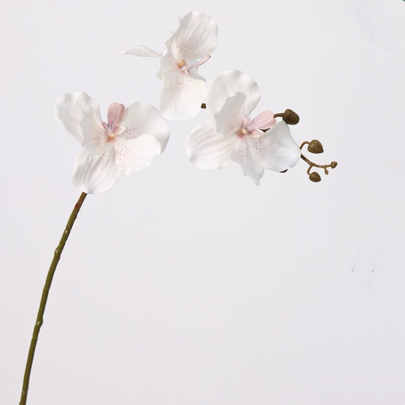 Touch-sensitive moisturizing simulated Vanda orchid