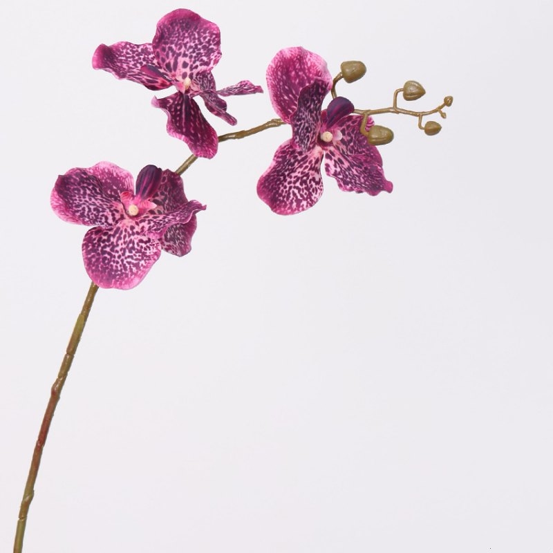 Touch-sensitive moisturizing simulated Vanda orchid