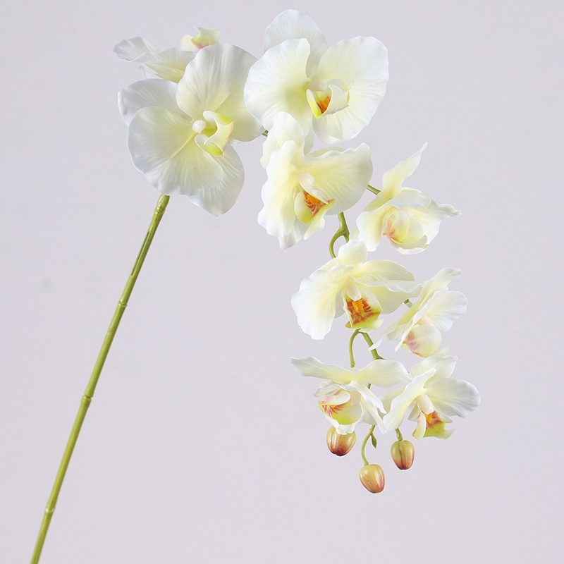 Moisturizing Fake Phalaenopsis Orchid