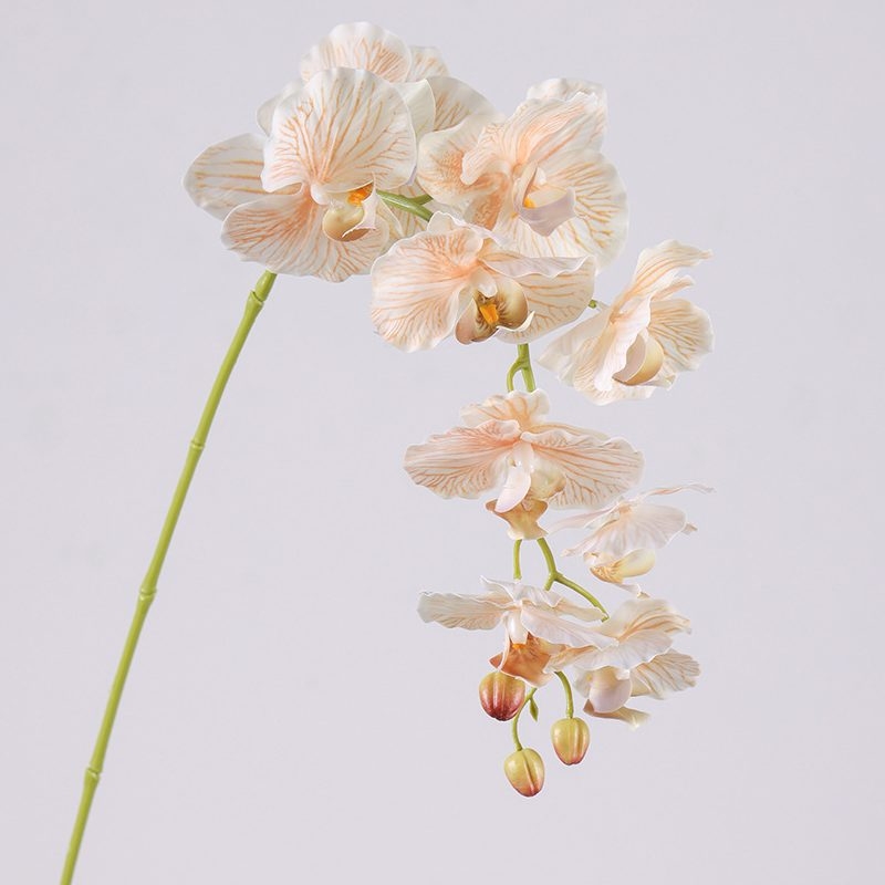 Moisturizing Fake Phalaenopsis Orchid